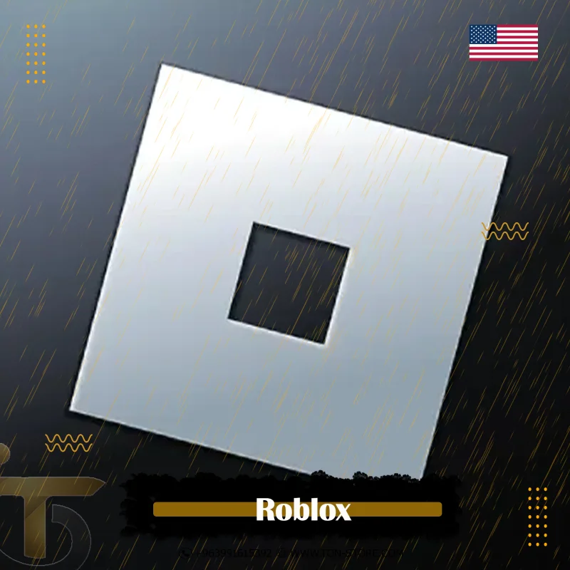 Roblox USA 100$